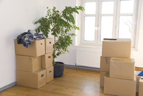 Organised box packing and labelling in Westminster